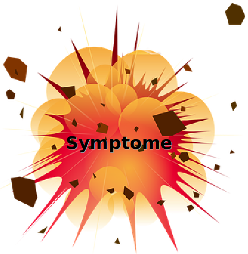 Symptome vom 2018-11-27 08:40:50