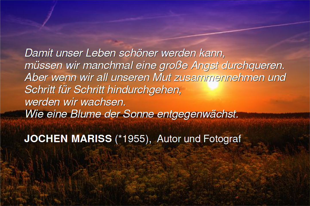 Mariss vom 2022-10-24 22-02-25