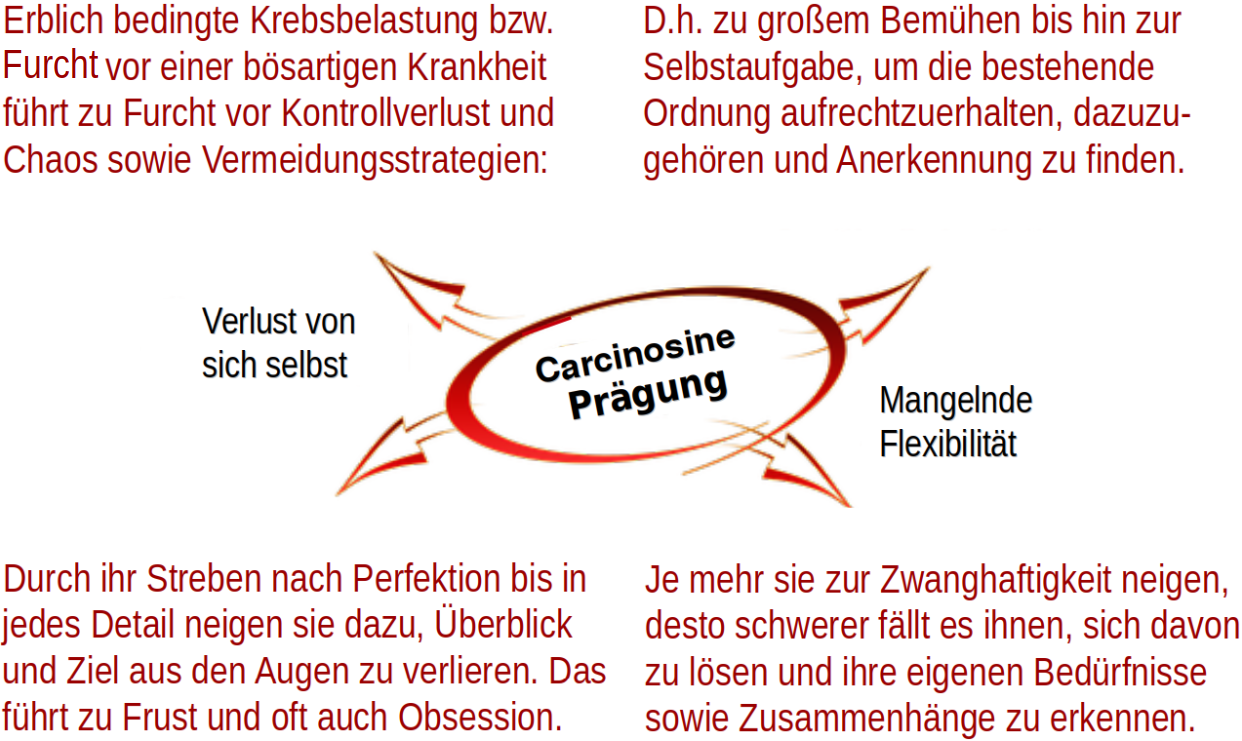 Carcinosinum vom 2023-01-08 23-53-54